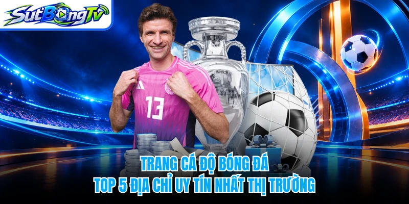 Trang Cá Độ Bóng Đá - Top 5 Địa Chỉ Uy Tín Nhất Thị Trường
